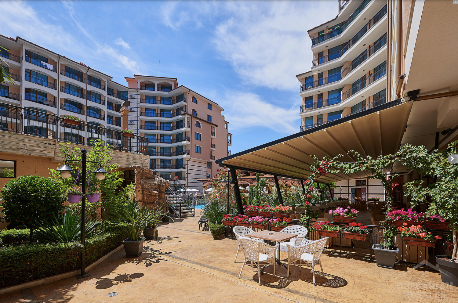 Каролина ID: 690 - Снимка 3