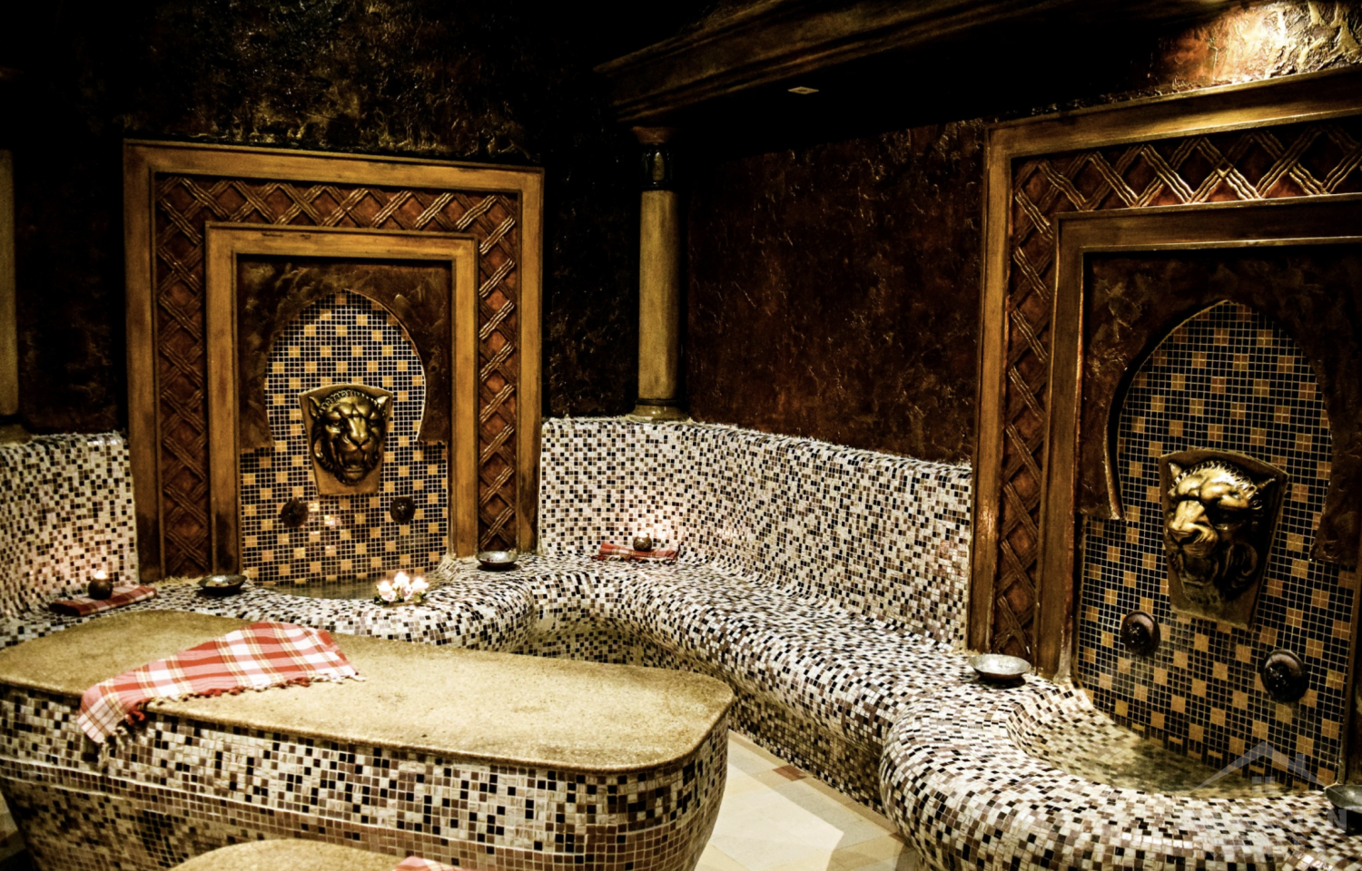 Каролина ID: 690 - Снимка 10