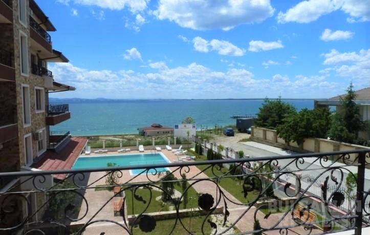 Rich 3 ID: 335 - Фото3