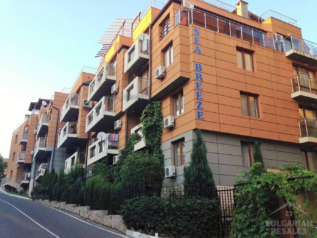 Просторно студио на пешеходно разстояние от плажа ID: 3960 - Снимка 1