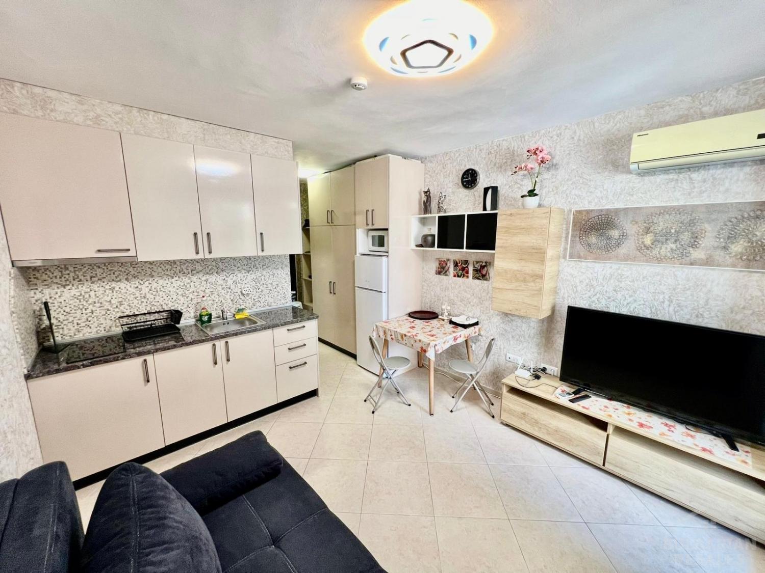 Студио с добър ремонт в курорта Слънчев бряг ID: 4328 - Снимка 1